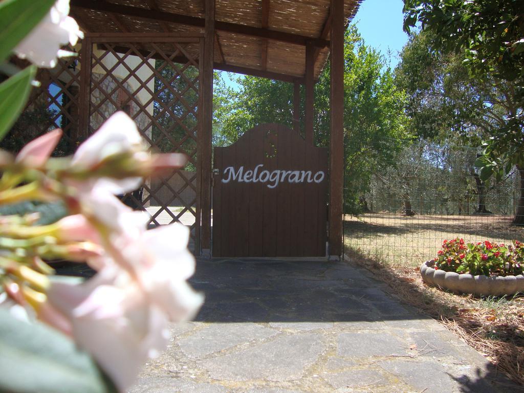 Agriturismo Podere Selvette Campagnatico Exterior foto