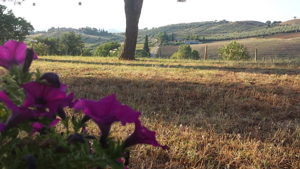 Agriturismo Podere Selvette Campagnatico Exterior foto